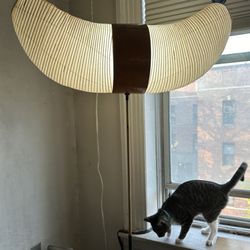 A Lamp Doctor