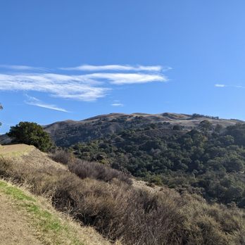 Alum Rock Park - Parks Near Me - San Jose, California