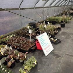 Out in the Garden Nursery