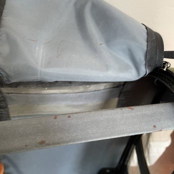 Feathered Follies - Blood on support bar where groomer must have had the bird sit for grooming. Also bloody scratch marks on the cover. - Pet Stores Near Me - Concord, California