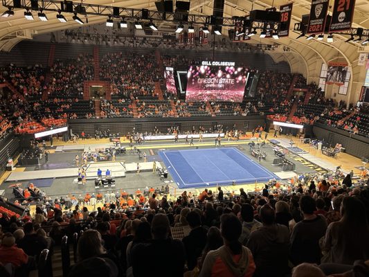 Gill Coliseum
