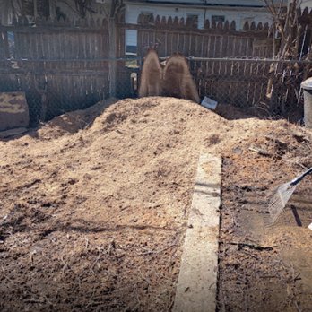 Aaron's Tree Service - Tree Services Near Me