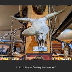 Don King Museum
