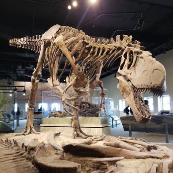 Field Museum - Museums Near Me - Chicago, Illinois Field Museum - Museums Near Me - Chicago, Illinois