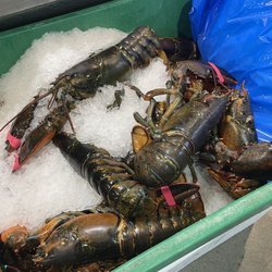 Pacific Fresh Fish