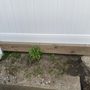Photo of MJ Nicholls Landscaping