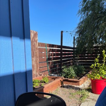 LASO - Little outdoor garden - Himalayan/Nepalese Near Me - American Canyon, California