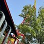 Photo of The Flash : Vertical Velocity