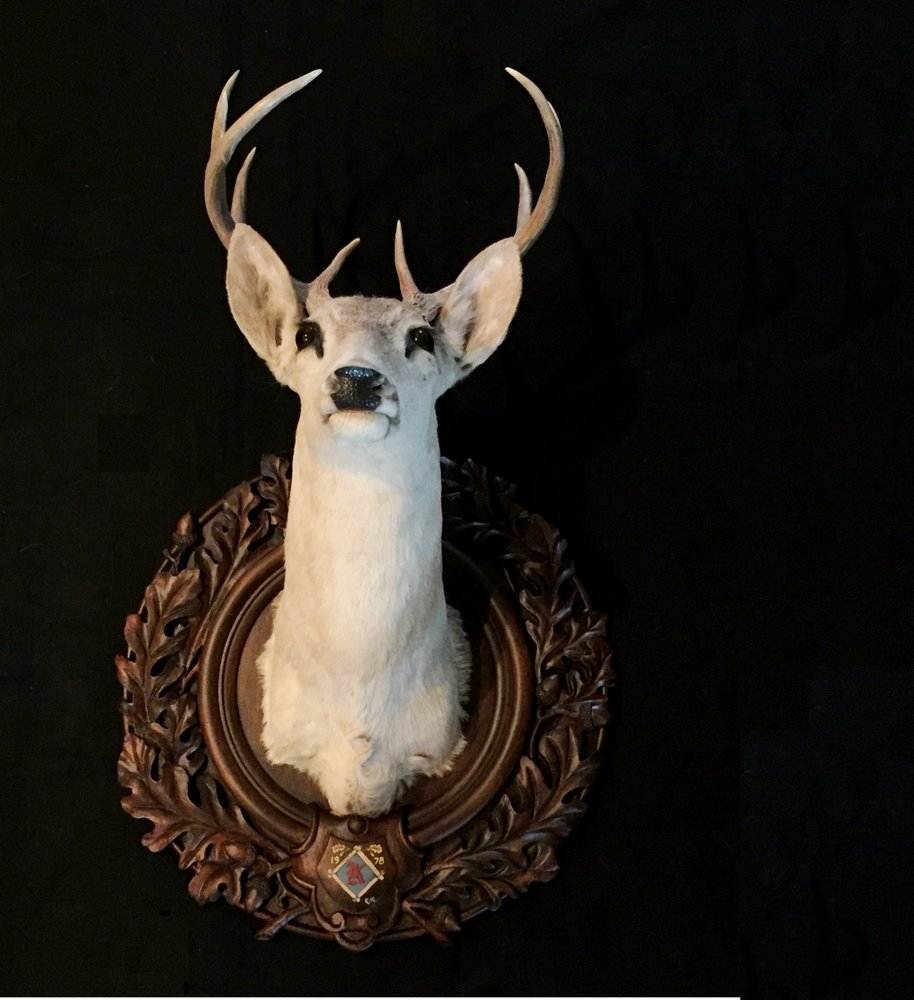 Heritage Game Mounts - taxidermy in San Antonio, TX