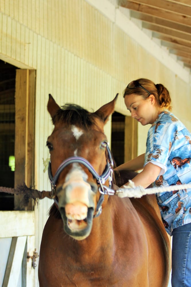 INTEGRATIVE HEALING VETERINARY CLINIC & MOBILE SERVICES Updated May