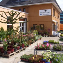 Blumenladen Josef Schui