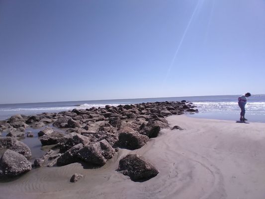 Hunting Island by null