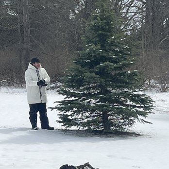Eternal Flame Falls - Real Christmas tree - Hiking Near Me - Orchard Park, New York Eternal Flame Falls - Real Christmas tree - Hiking Near Me - Orchard Park, New York