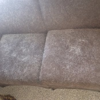 Big John's Carpet Cleaning - Pet hear. - Carpet Cleaning Near Me - Kalispell, Montana