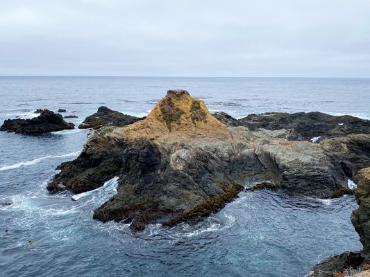 Mendocino Headlands State Park by null