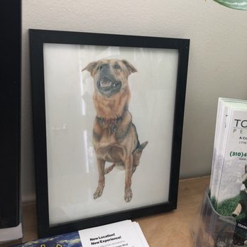 Topanga Dog Resort - Pet Training Near Me - Topanga, California Topanga Dog Resort - Pet Training Near Me - Topanga, California