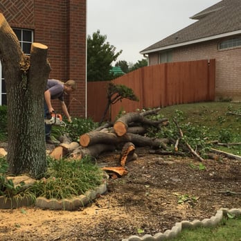 Total Unique Tree Service - More work done - Tree Services Near Me - Plano, Texas Total Unique Tree Service - More work done - Tree Services Near Me - Plano, Texas