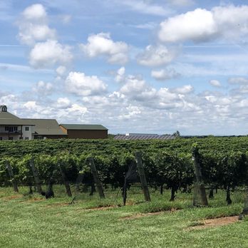 Rayson Winery & Vineyards - Wineries Near Me - Mocksville, North Carolina Rayson Winery & Vineyards - Wineries Near Me - Mocksville, North Carolina