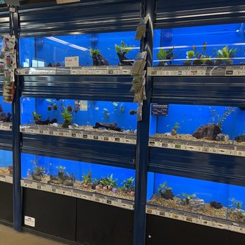 Petco - Petco Fish - Pet Training Near Me - Granada Hills, California Petco - Petco Fish - Pet Training Near Me - Granada Hills, California