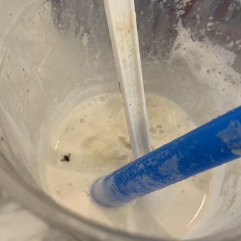 The Weldon Fountain - Dead bug in my Root Beer Float - Ice Cream & Frozen Yogurt Near Me - Glenside, Pennsylvania The Weldon Fountain - Dead bug in my Root Beer Float - Ice Cream & Frozen Yogurt Near Me - Glenside, Pennsylvania