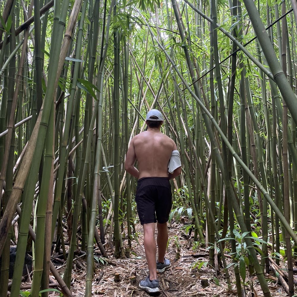 Lulumahu Falls - Bamboo hike at start of trail - Hiking Near Me - Honolulu, Hawaii Lulumahu Falls - Bamboo hike at start of trail - Hiking Near Me - Honolulu, Hawaii