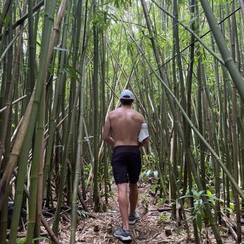 Lulumahu Falls - Bamboo hike at start of trail - Hiking Near Me - Honolulu, Hawaii