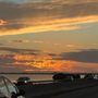 Photo of Courtney Campbell Causeway