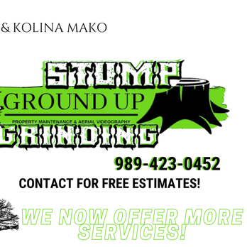 Ground Up Stump Grinding - a picture of a tree stump - Landscaping Near Me Ground Up Stump Grinding - a picture of a tree stump - Landscaping Near Me