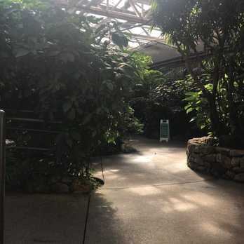 Butterfly Pavilion - Walk through this beautiful fly free zone! - Museums Near Me - Westminster, Colorado Butterfly Pavilion - Walk through this beautiful fly free zone! - Museums Near Me - Westminster, Colorado