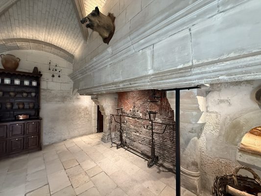 Château de Chenonceau by null