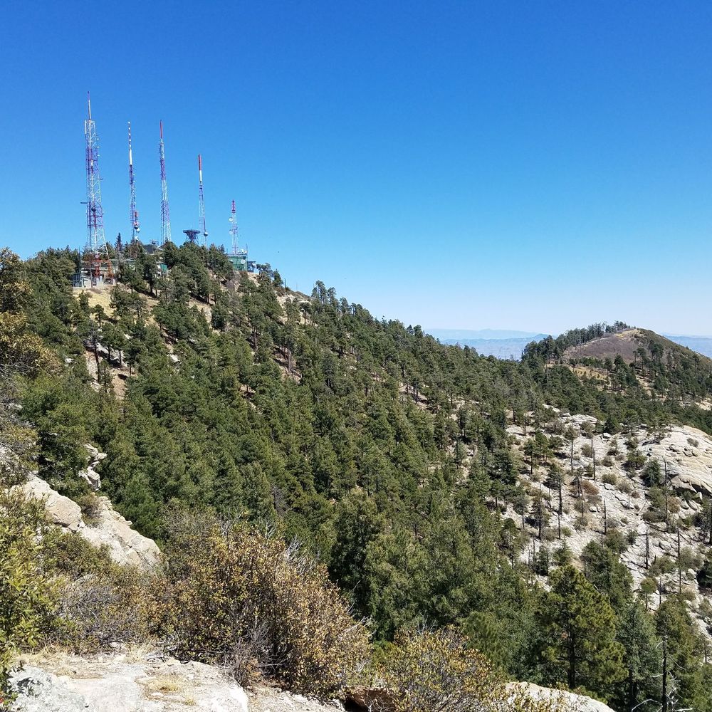 Mount Lemmon - Hiking Near Me - Tucson, Arizona Mount Lemmon - Hiking Near Me - Tucson, Arizona