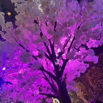 Miss Kō - Inside tree - Cocktail Bars Near Me - Paris, 75