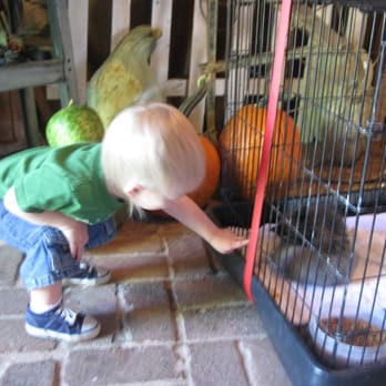 Alldredge Orchards - Kitty! - Farms Near Me - Platte City, Missouri Alldredge Orchards - Kitty! - Farms Near Me - Platte City, Missouri