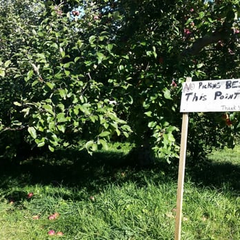 Thompson's Orchards - No picking beyond this point please. - Pick Your Own Farms Near Me - New Gloucester, Maine Thompson's Orchards - No picking beyond this point please. - Pick Your Own Farms Near Me - New Gloucester, Maine