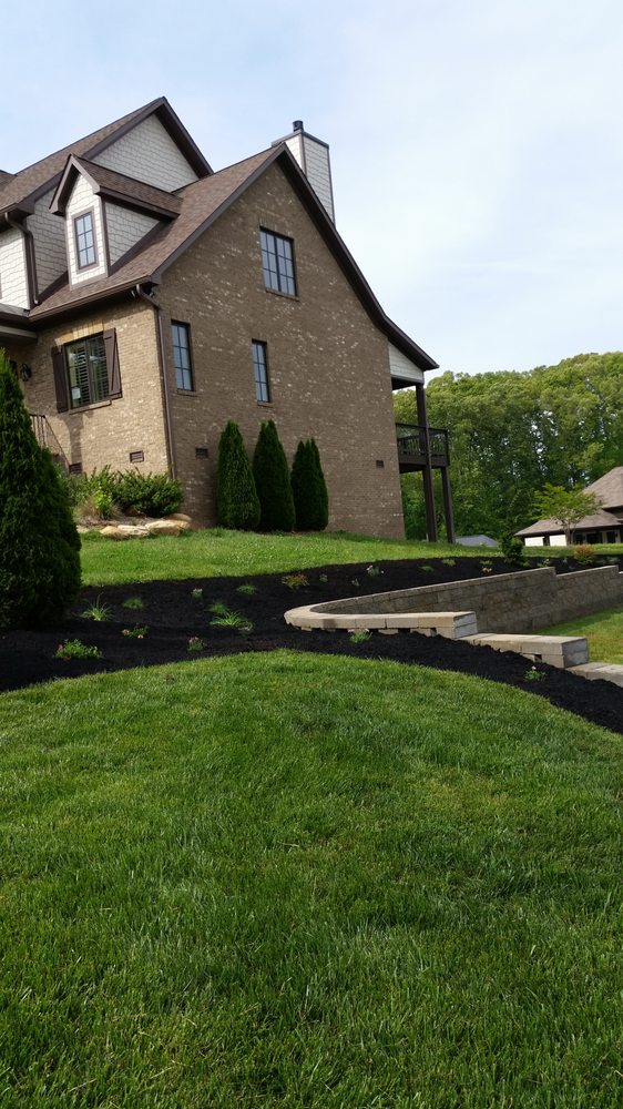 Mario Manuel Landscaping - tree service in Knoxville, TN