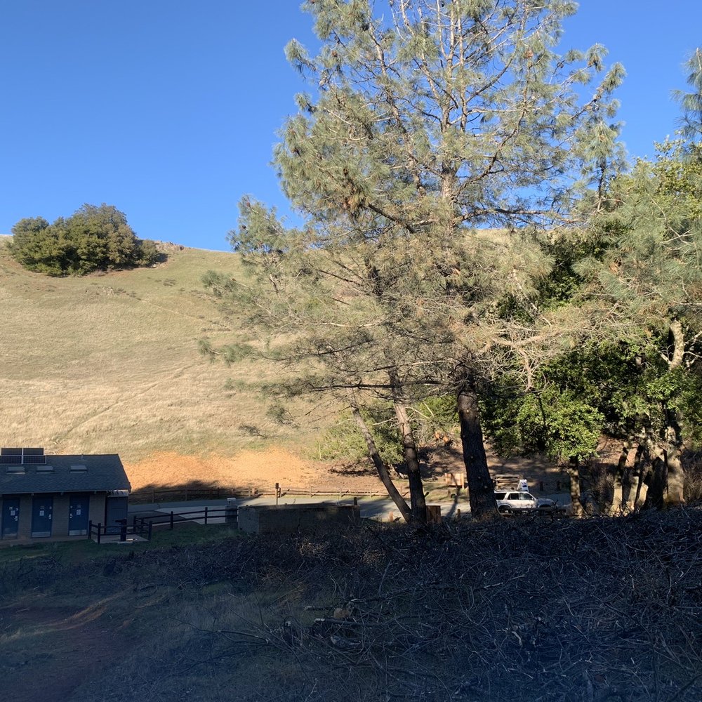 Mount Diablo State Park - 2/21/2021:  HB Present from me to me~I get to go camping for my birthday-YAY!!!!  Campsite J26. - Parks Near Me - Clayton, California