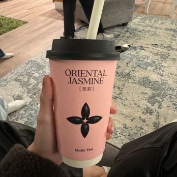 Molly Tea - Jasmine Matcha - Bubble Tea Near Me - Sunnyvale, California