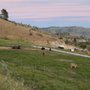Photo of Summerhill Farm RV Park