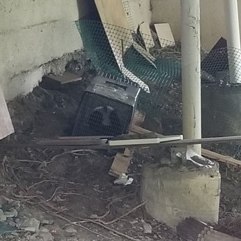 B & M Trapping - Skunky #1 - Wildlife Control Near Me