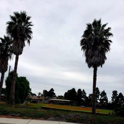 Southwestern College - When we learned that they play 14 innings, we left to go get food after the 9th ....