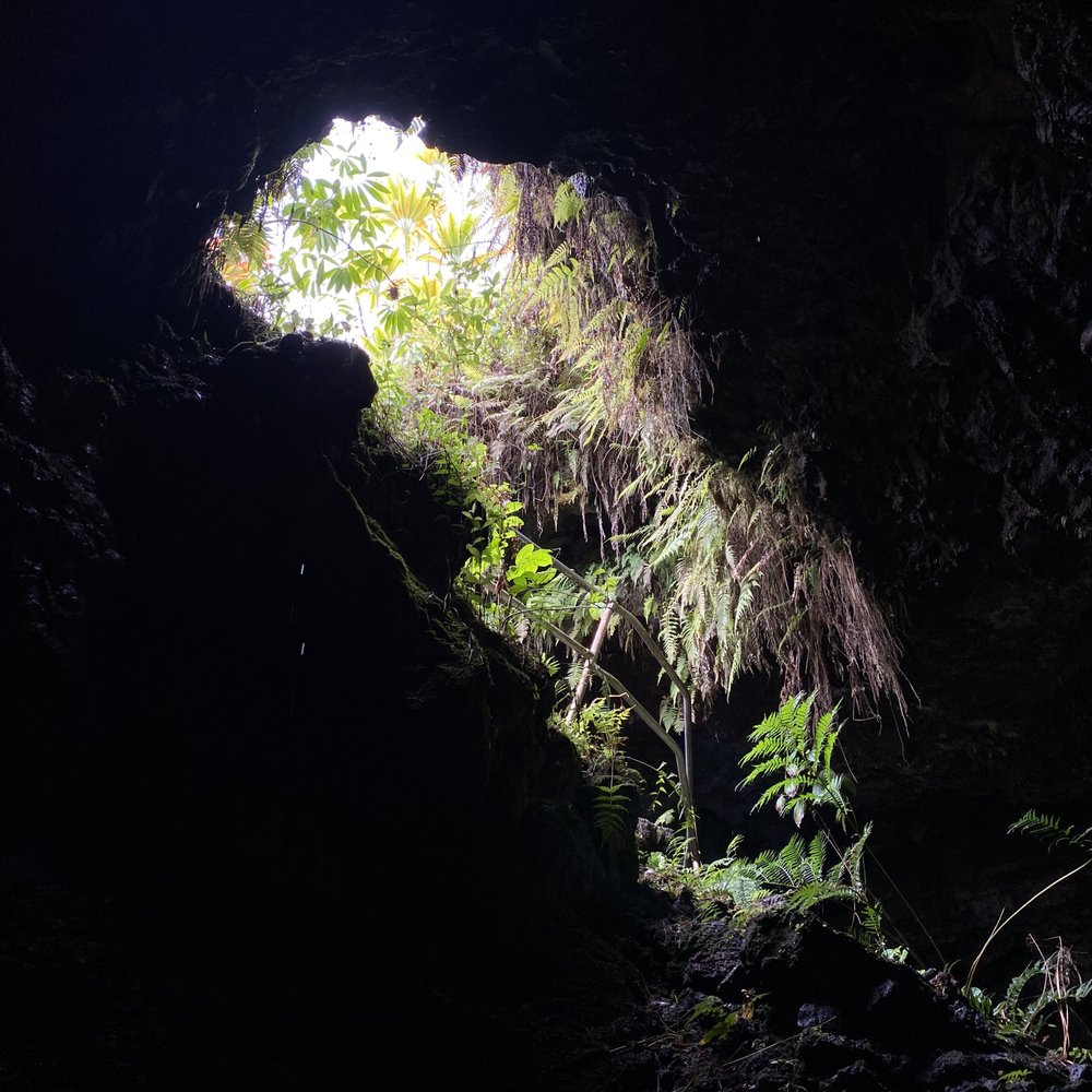 Maui's Private Guide - Beer Tours Near Me Maui's Private Guide - Beer Tours Near Me