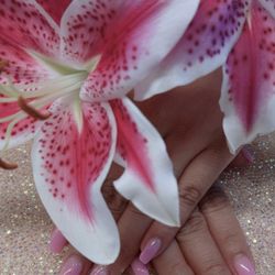 Dip Nail Spa