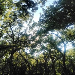 Walnut Grove Park