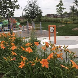 Snakes And Ladders Park
