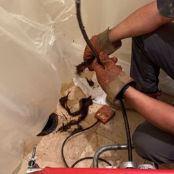 Pro Rooter Guys - Hair clog in restroom.