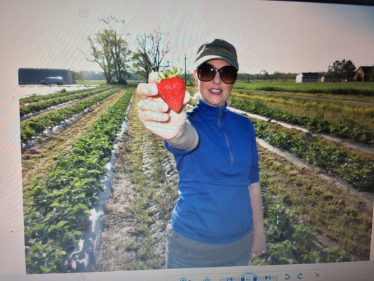 Vaughan Farms' Produce by null
