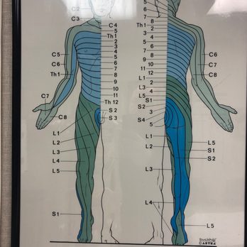 Surgery Center - Chart of spine - Hospitals Near Me - Flint, Michigan