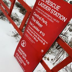 Davis Center - Harlem Meer, winter 2026.