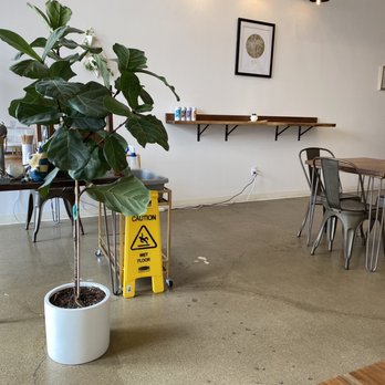 Pangolin Café - Interior - Coffee & Tea Near Me - Reno, Nevada Pangolin Café - Interior - Coffee & Tea Near Me - Reno, Nevada