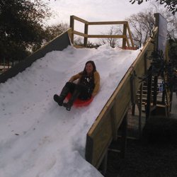Charlestowne Workshop - First time sledder, "it was totally worth the wait!"